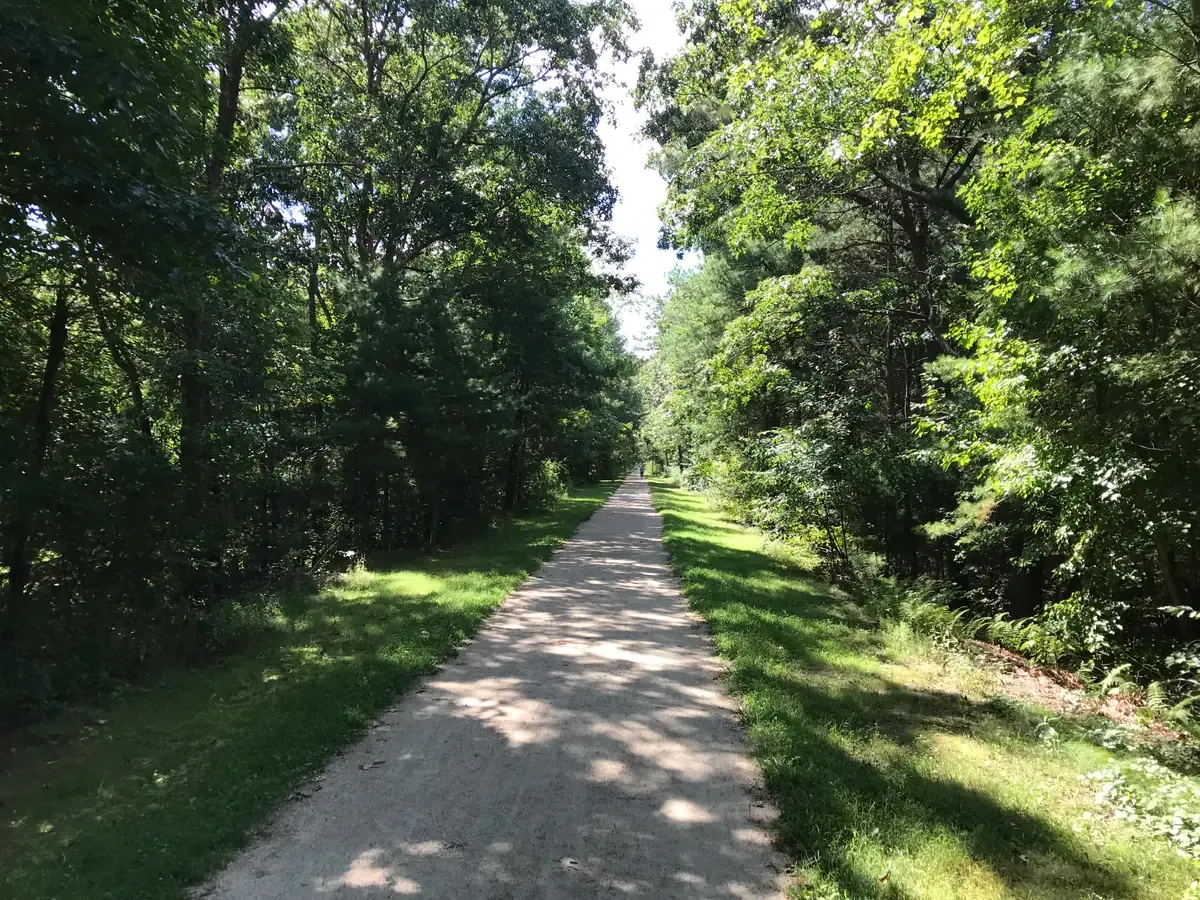 A gravel rail trail running between trees on the Southern New England Trunkline Trail in Bellingham