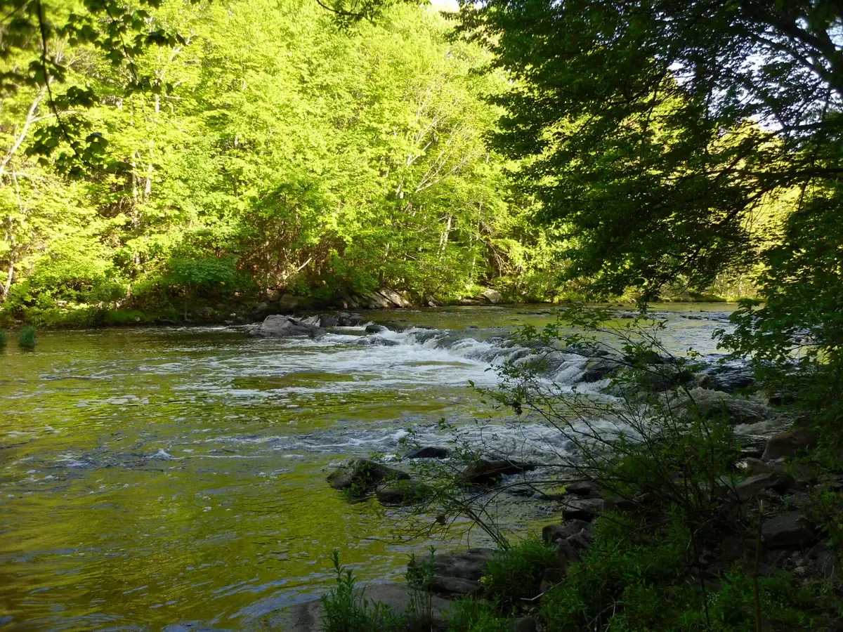 Water running over rocks through the wooded Blackstone River Gorge