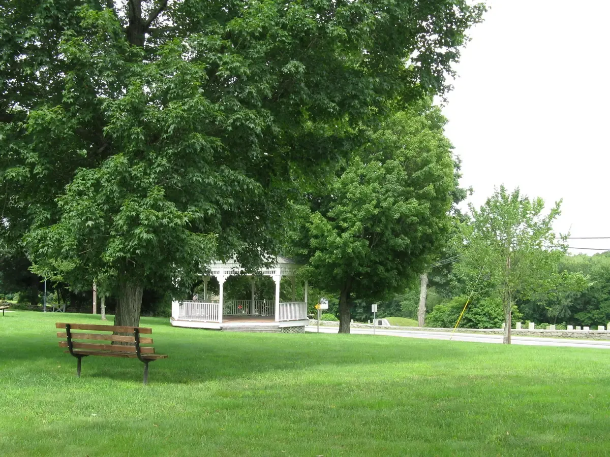 A shaded bench under a large tree on the green at the Old Douglas Town Common
