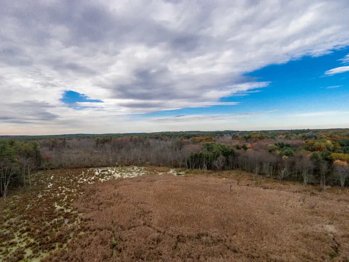 Open wetland and wide sky at the Charles River Natural Valley Storage Area in Millis
