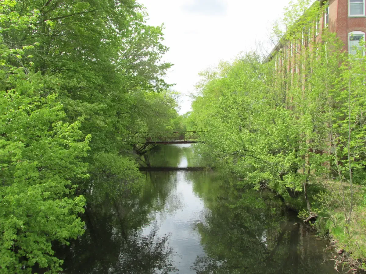 The Blackstone River running green between wooded banks at Northbridge