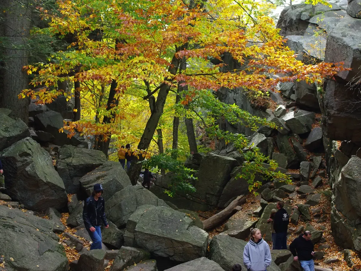 Autumn trees among the boulders of Purgatory Chasm in Sutton