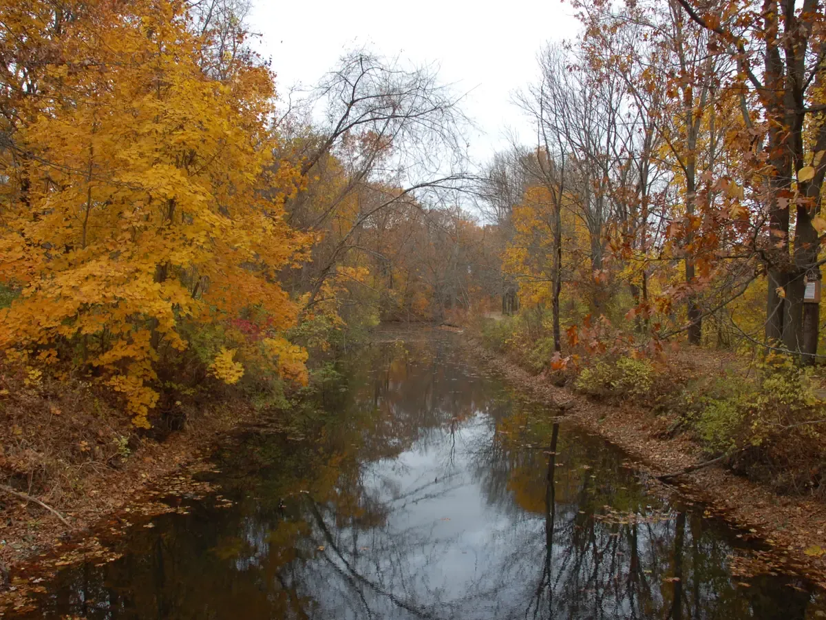 Autumn colour reflected in the Blackstone Canal at Uxbridge